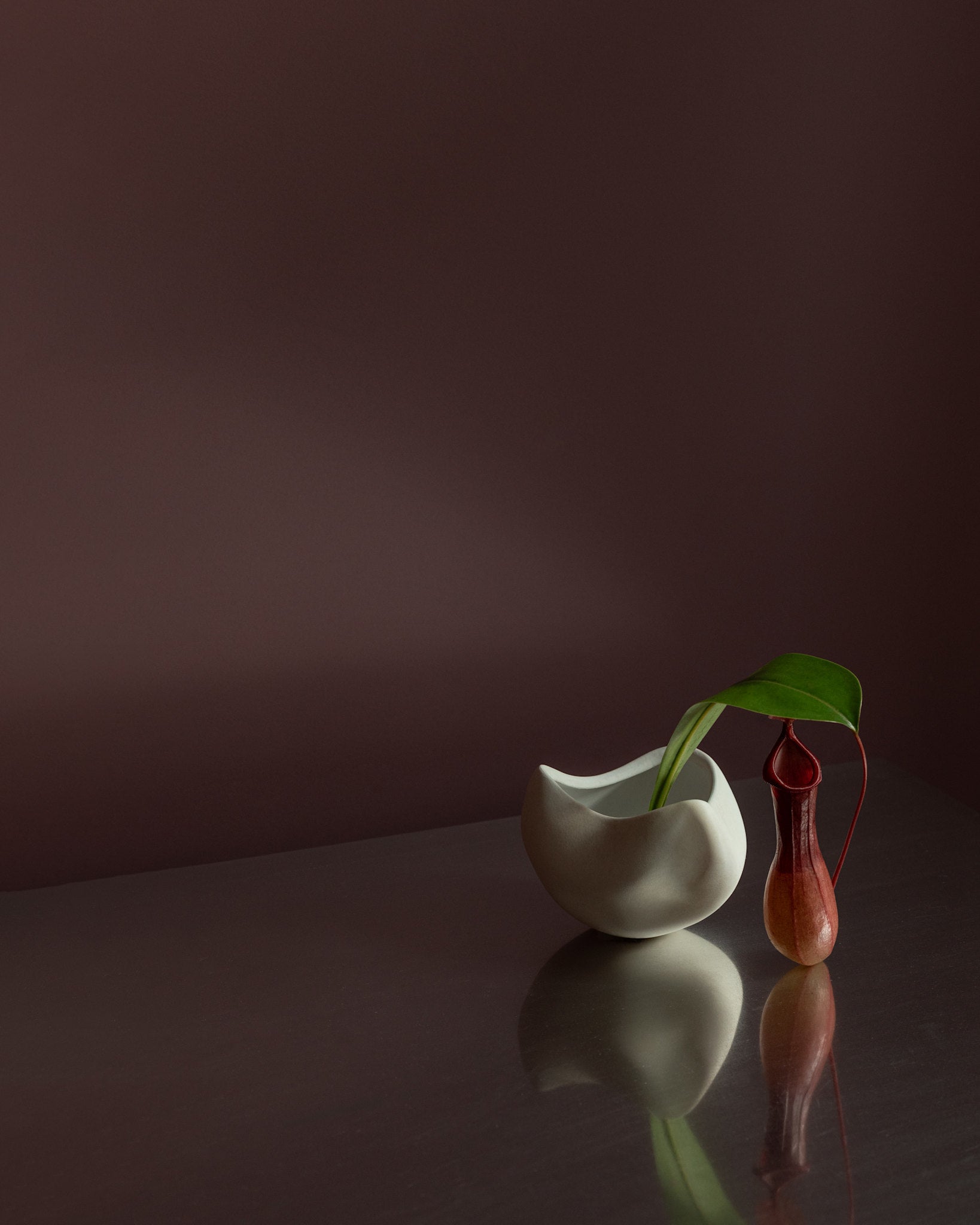 101 Copenhagen - Curve Bowl, Mini - Bone White - Ceramic bowl