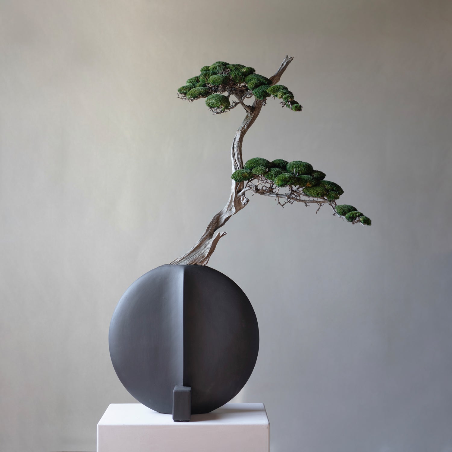 101 Copenhagen Guggenhein VAse with Bonsai styled by Labotanica