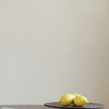 101 Copenhagen - Duck Tray, Small - Coffee - Tray