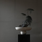 101 Copenhagen - Baburu Bowl, Big - Birch - Bowl