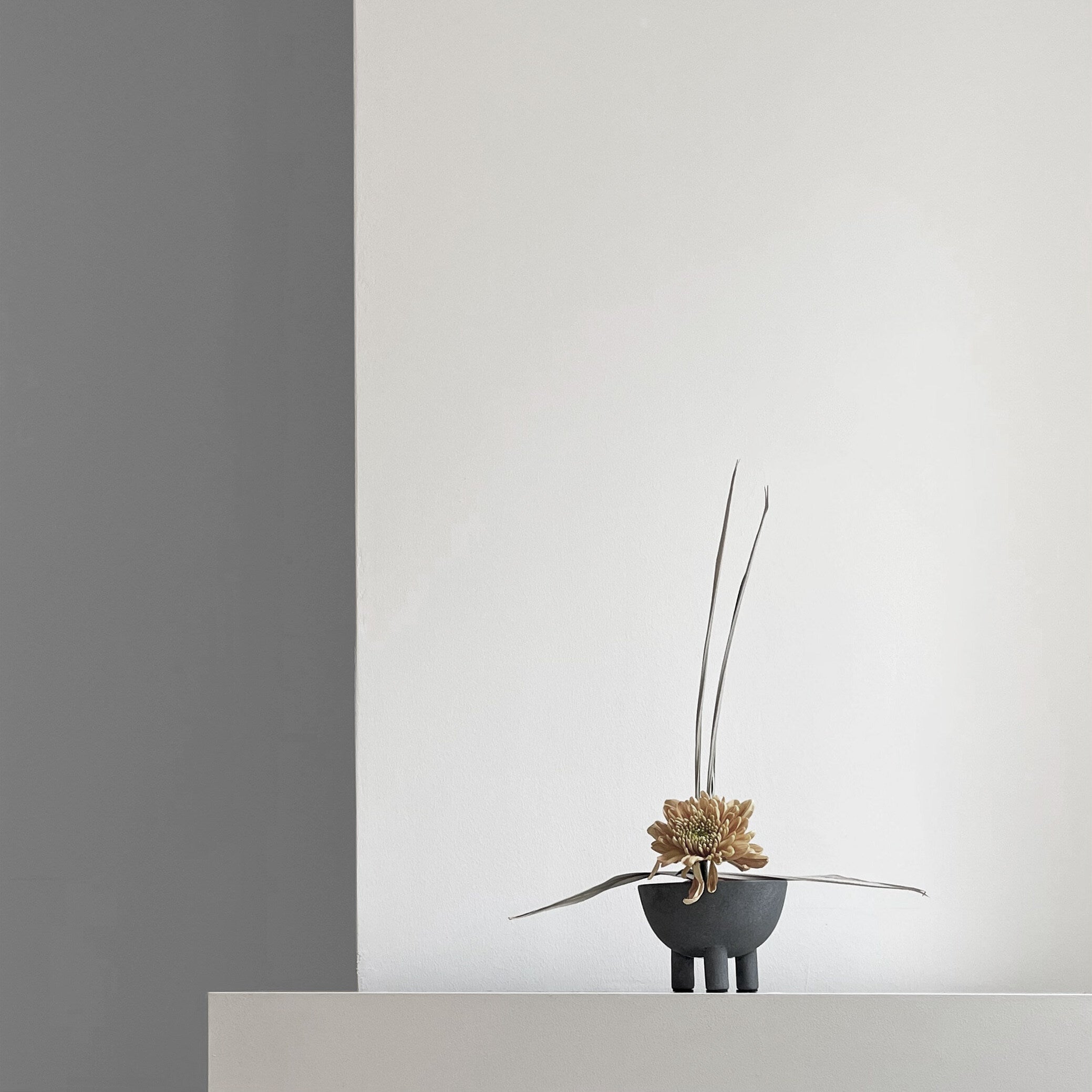 101 Copenhagen - Duck Bowl, Mini - Dark Grey - Bowl