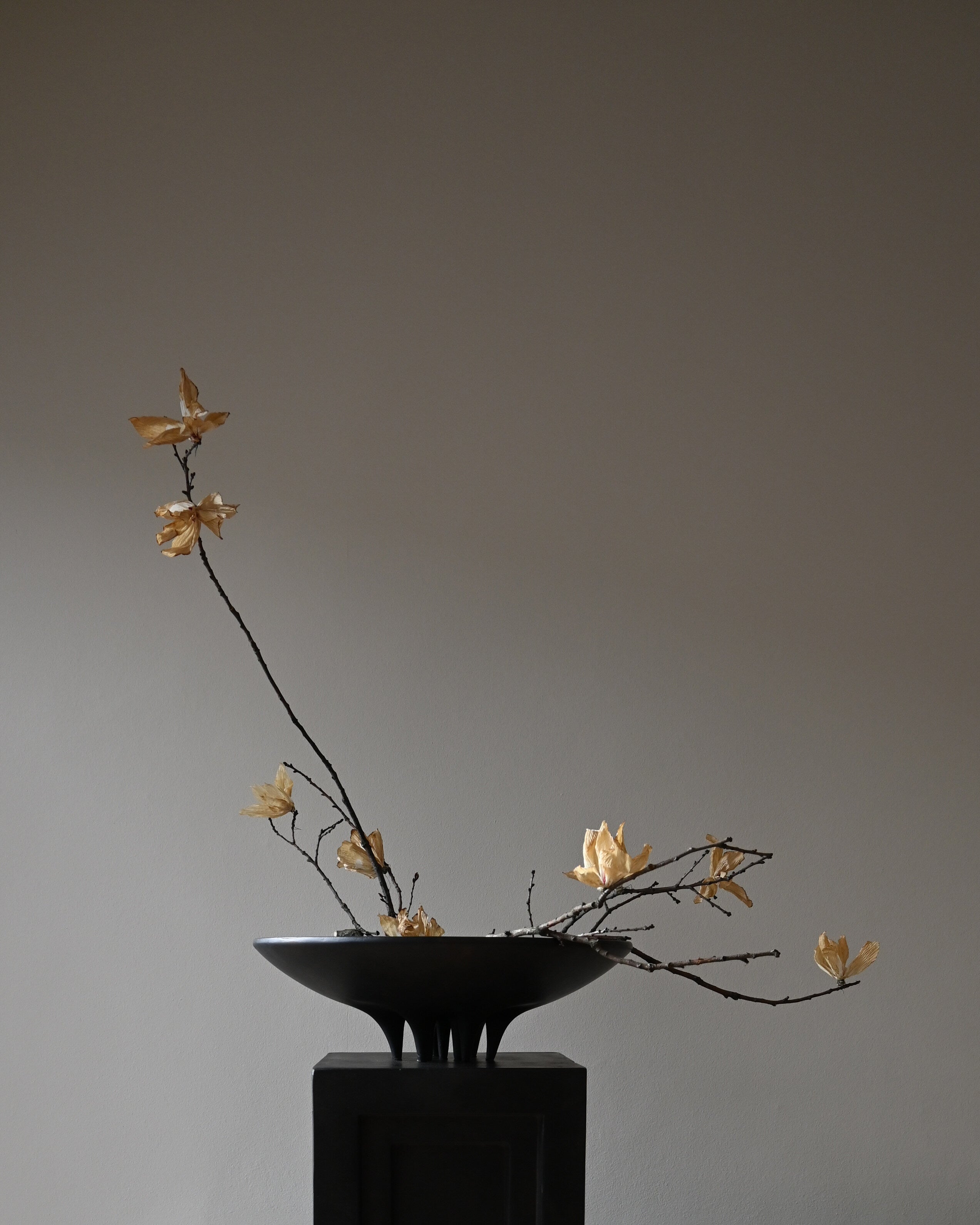 101 Copenhagen - Medusa Tray, Big - Coffee - Tray