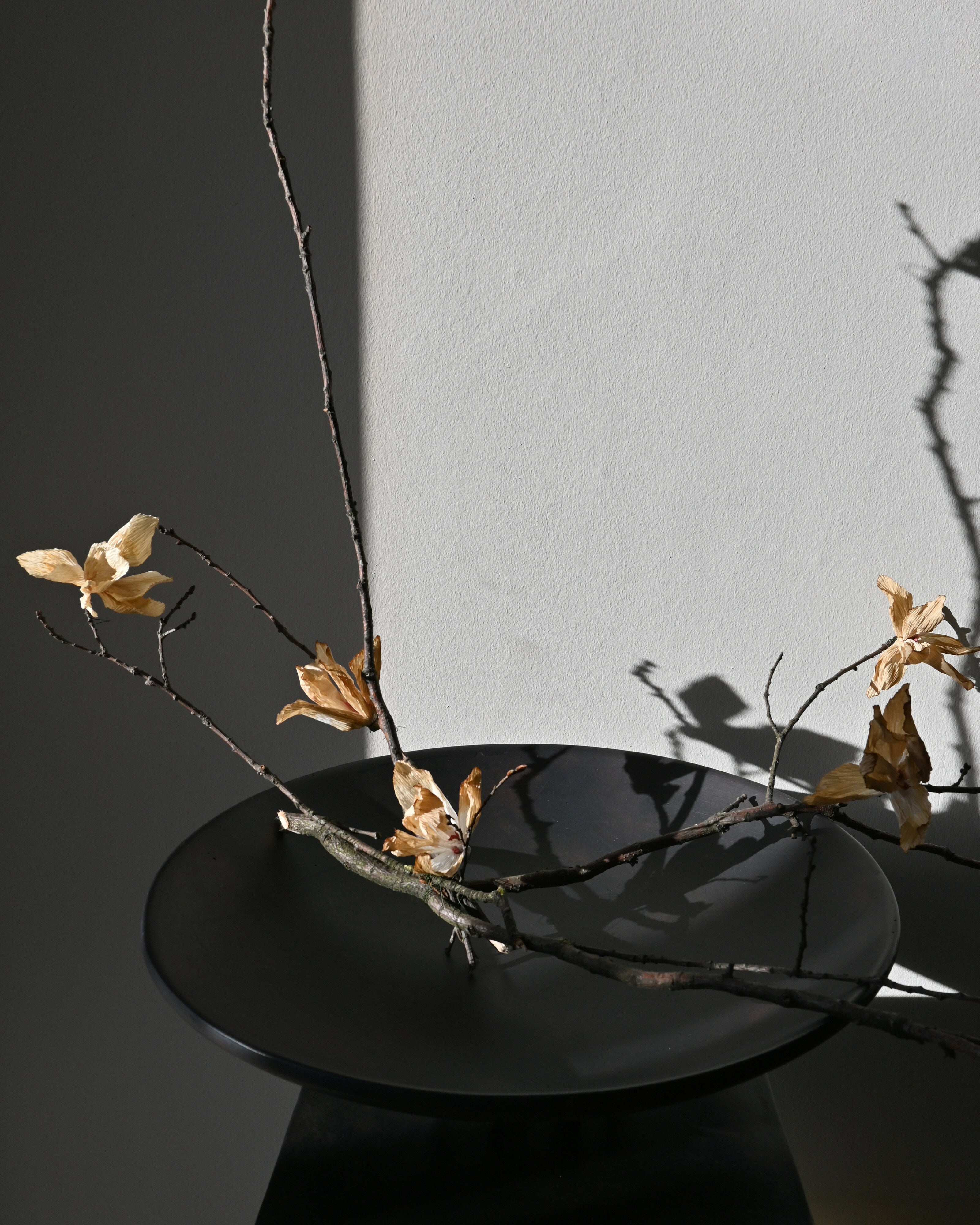 101 Copenhagen - Medusa Tray, Big - Coffee - Tray