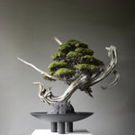 101 Copenhagen - Duck Plate, Big - Coffee - Tray