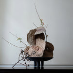 101 Copenhagen - Duck Plate, Mini - Coffee - Tray