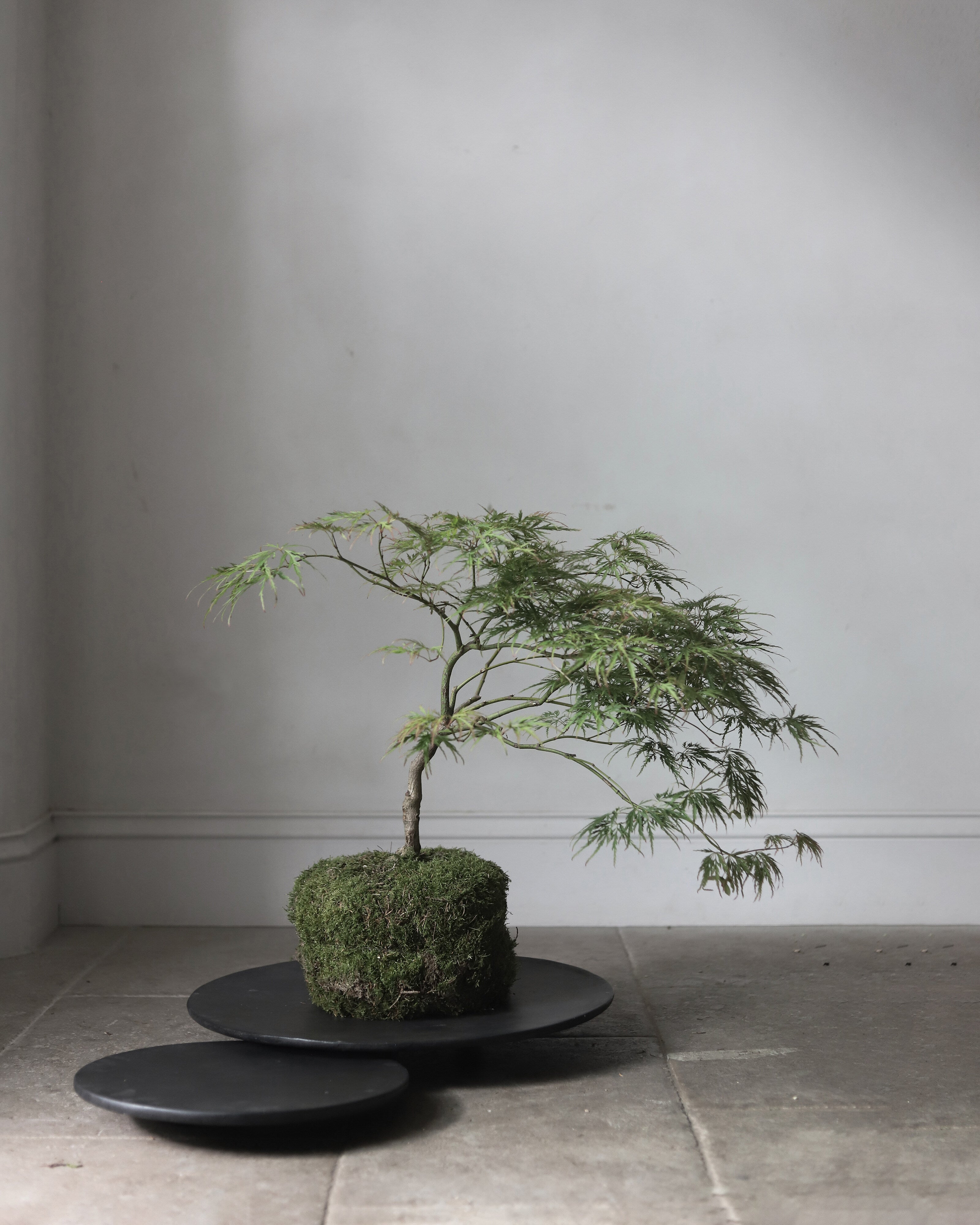 101 Copenhagen - Duck Tray, Big - Coffee - Tray