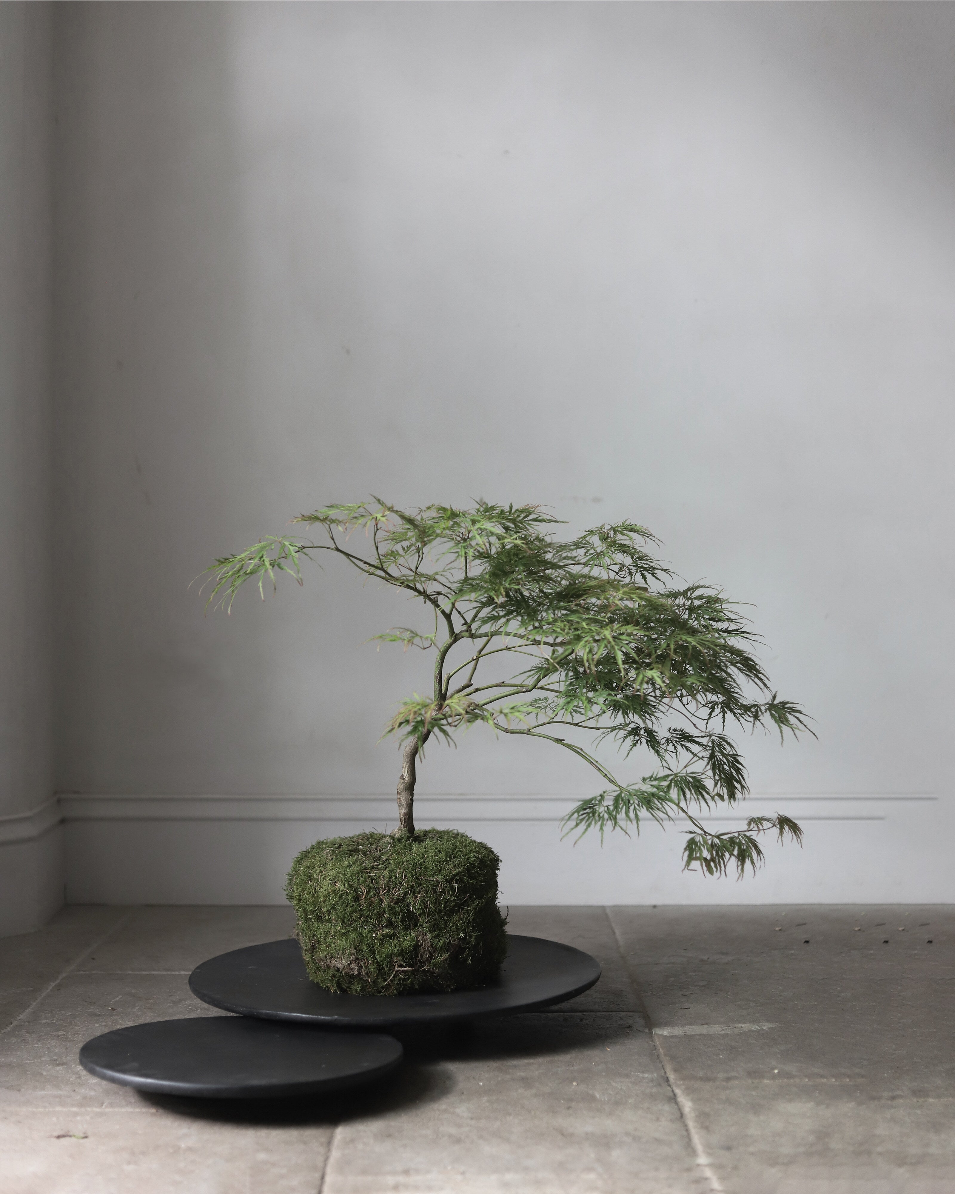 101 Copenhagen - Duck Tray, Small - Coffee - Tray