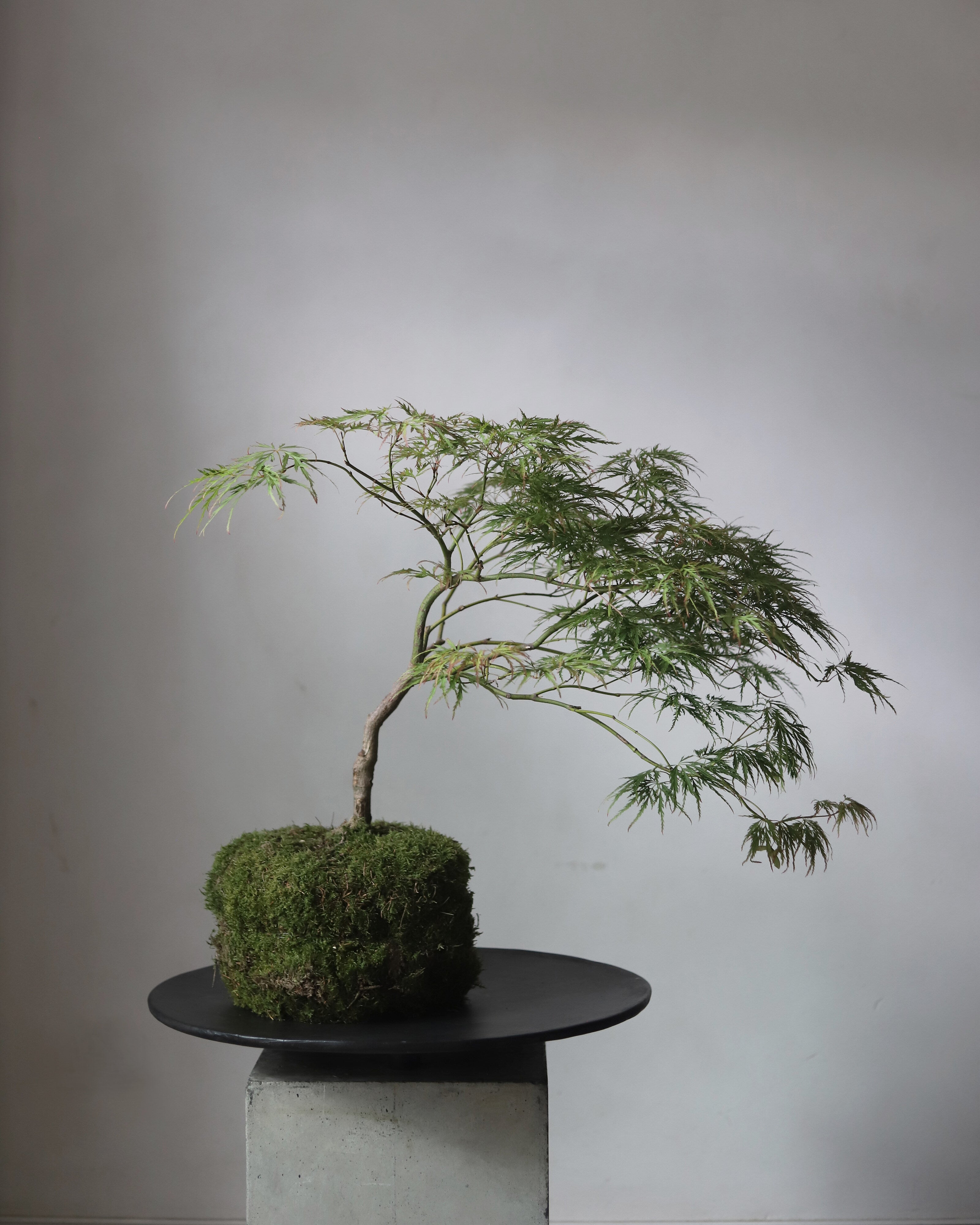 101 Copenhagen - Duck Tray, Big - Coffee - Tray