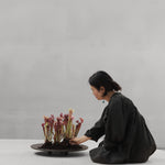 101 Copenhagen - Duck Tray, Big - Coffee - Tray