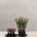 101 Copenhagen - Duck Tray, Big - Coffee - Tray