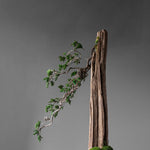 101 Copenhagen - Oka Tray - Coffee - Tray