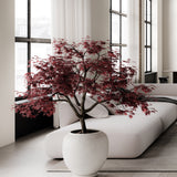 101 Copenhagen - Sunao Plant Pot, Hexa - Birch - Plant Pot