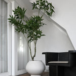 101 Copenhagen - Sunao Plant Pot Fat, Hexa - Birch - Plant Pot