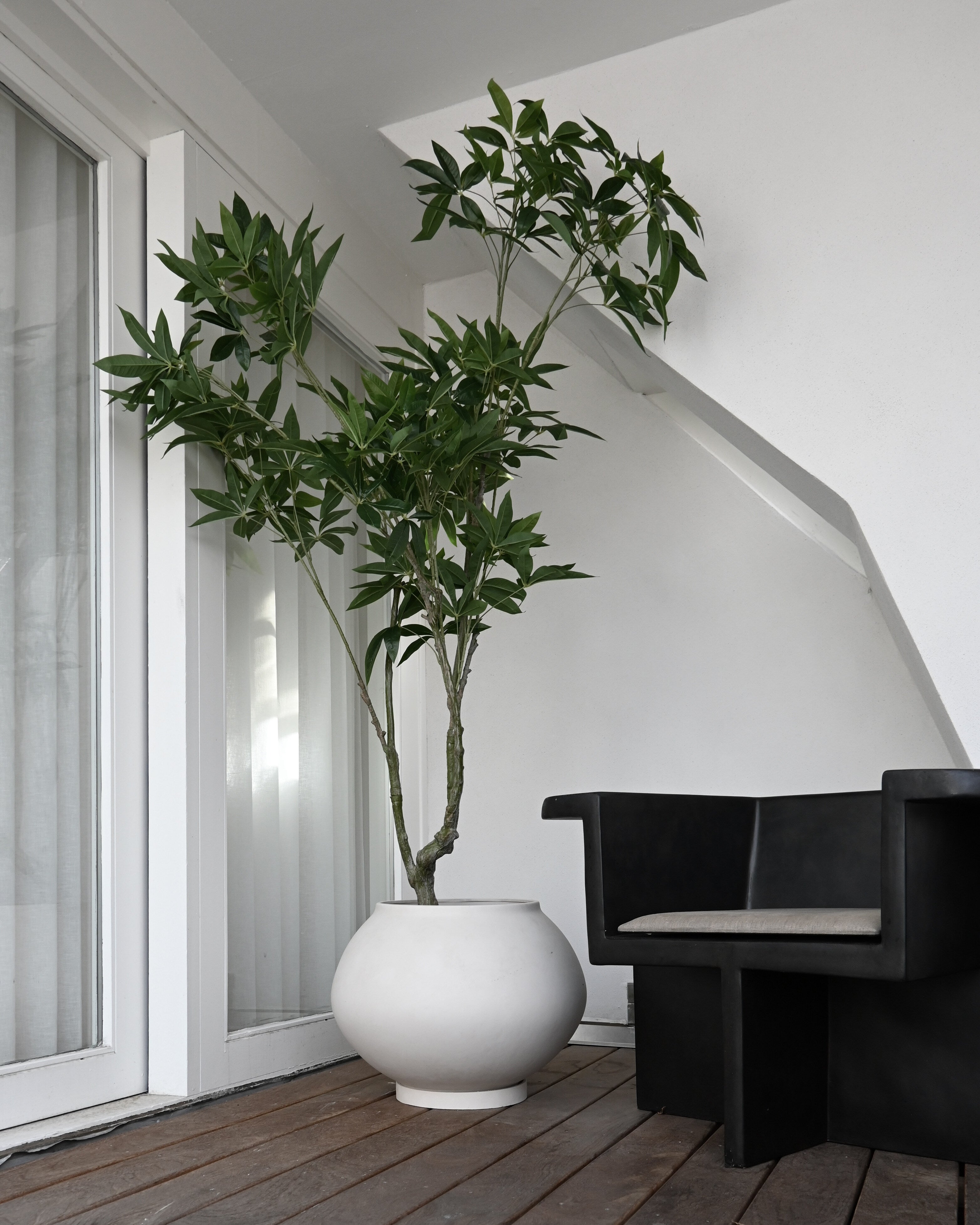 101 Copenhagen - Sunao Plant Pot Fat, Hexa - Birch - Plant Pot