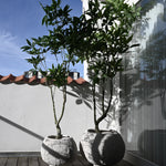 101 Copenhagen - Urchin Plant Pot, Big - Beehive - Plant Pot