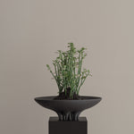 101 Copenhagen - Medusa Tray, Big - Coffee - Tray