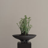 101 Copenhagen - Medusa Tray, Big - Coffee - Tray