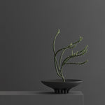 101 Copenhagen - Medusa Tray, Mini - Coffee - Tray