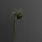 101 Copenhagen - Medusa Vase, Mini - Coffee - Vase