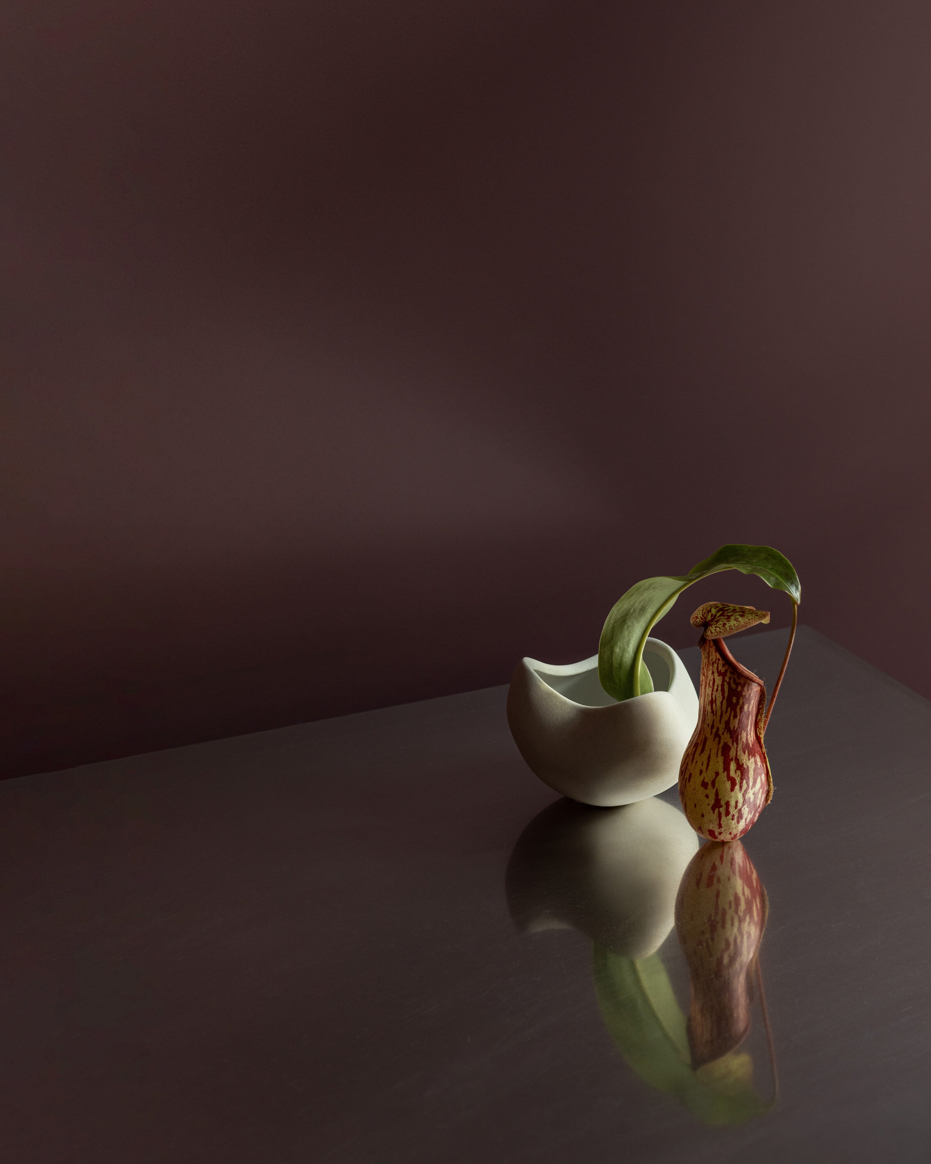 101 Copenhagen - Curve Bowl, Mini - Bone White - Bowl