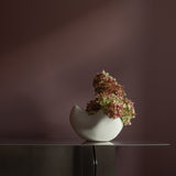 101 Copenhagen - Curve Bowl, Big - Bone White - Bowl