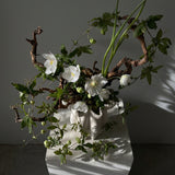 Lotus Vase, Petit - Birch