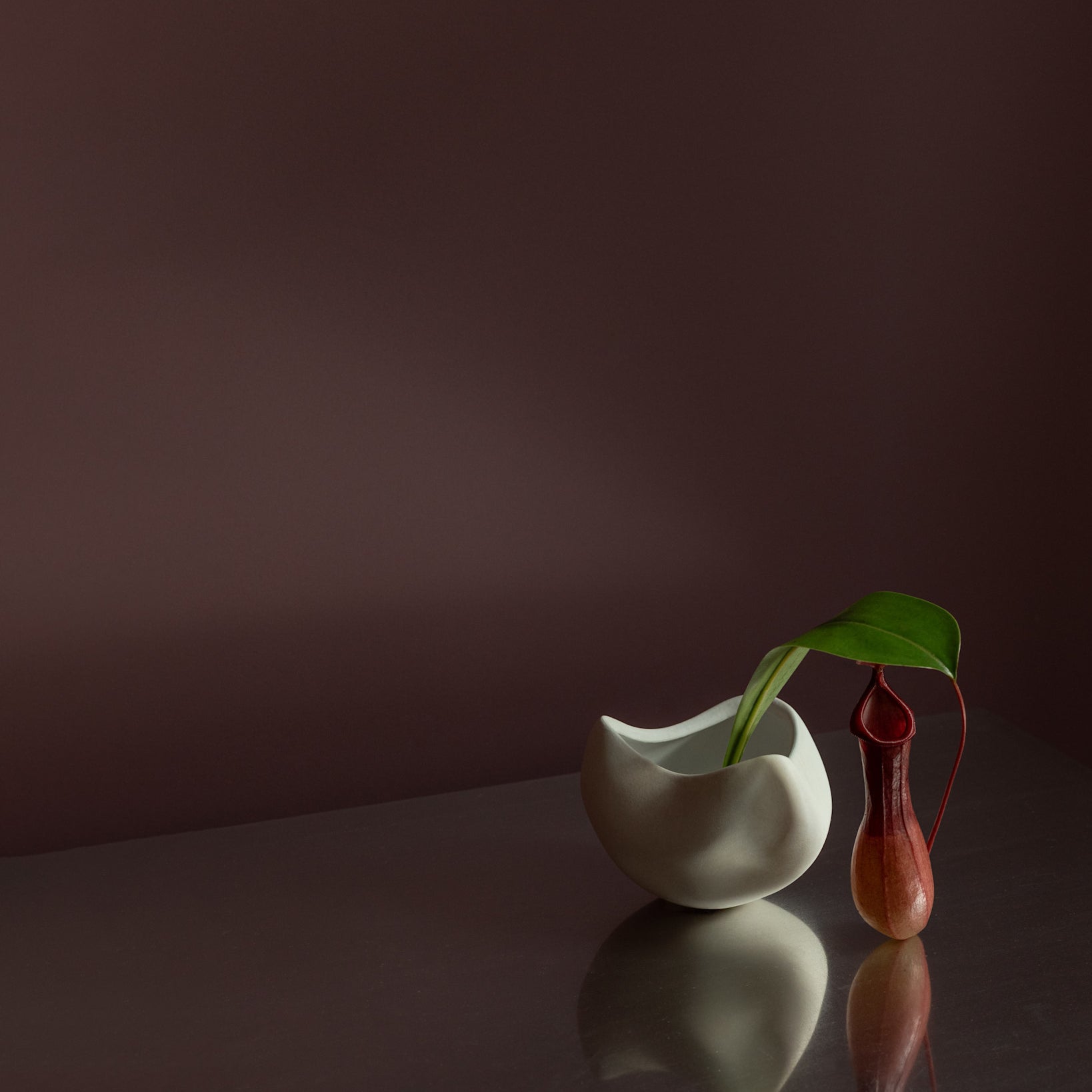 101 Copenhagen - Curve Bowl, Mini - Bone White - Ceramic bowl
