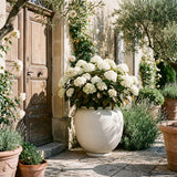 Sunao Plant Pot, Hexa - Birch