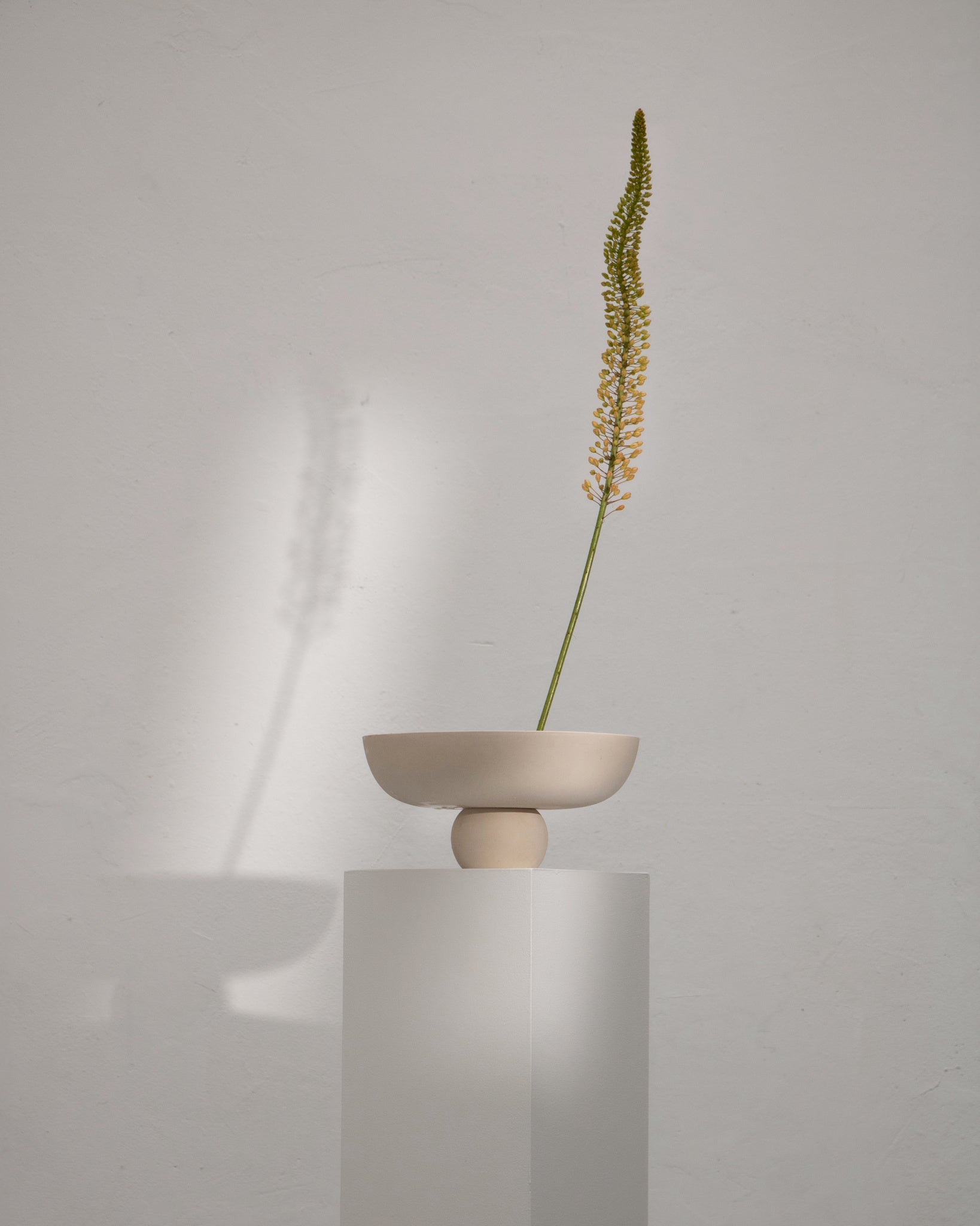 101 Copenhagen - Baburu Bowl, Medio - Birch - Ceramic bowl