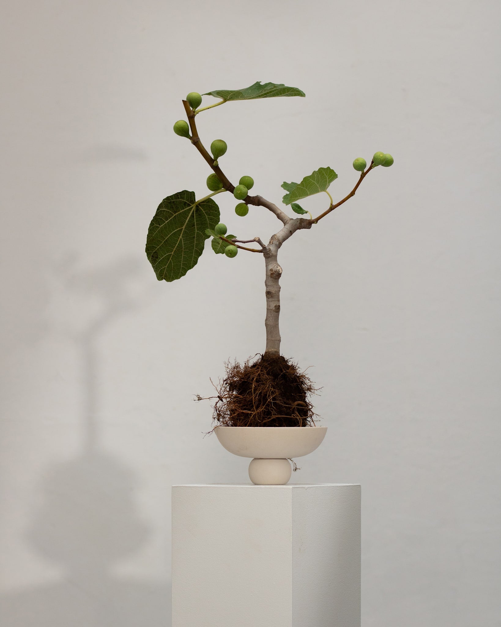 101 Copenhagen - Baburu Bowl, Mini - Birch - Ceramic bowl