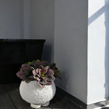 Urchin Plant Pot, Mini - Beehive