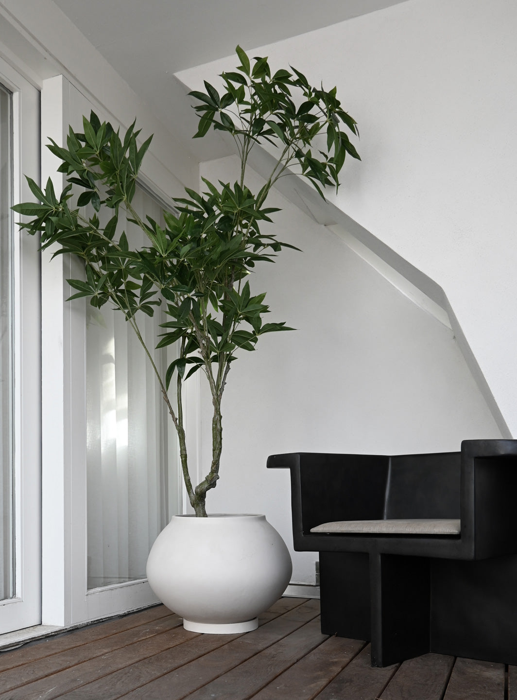 101 Copenhagen Brutus Chair and Sunao Plant pot with tree