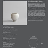 101 Copenhagen - Sunao Plant Pot, Medio - Birch - Plant Pot