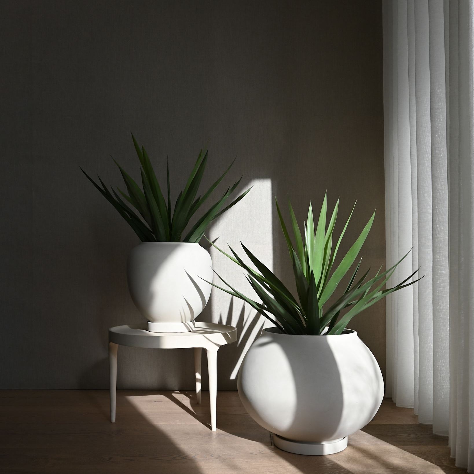 101 Copenhagen - Sunao Plant Pot Fat, Big - Birch - Plant Pot
