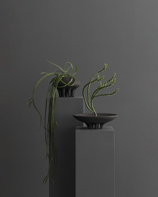 101 Copenhagen Medusa tray and vase with succulents arranged by Bosque