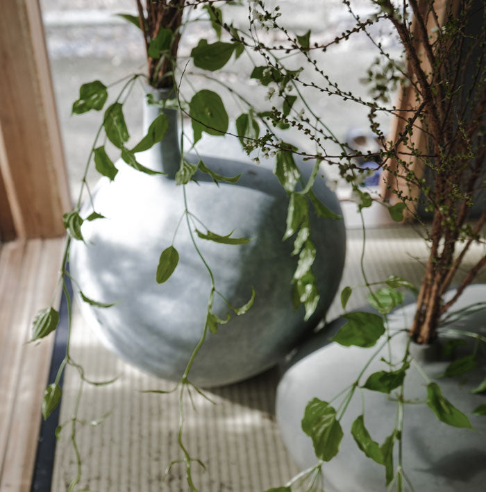 Two Submarine vases with green plants