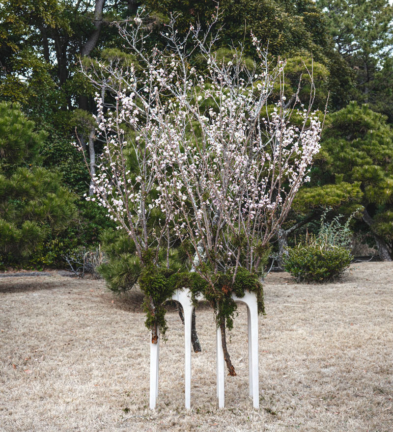 Decorative floral arrangement by Hikaru Seino on Birch Bow Console with a natural background