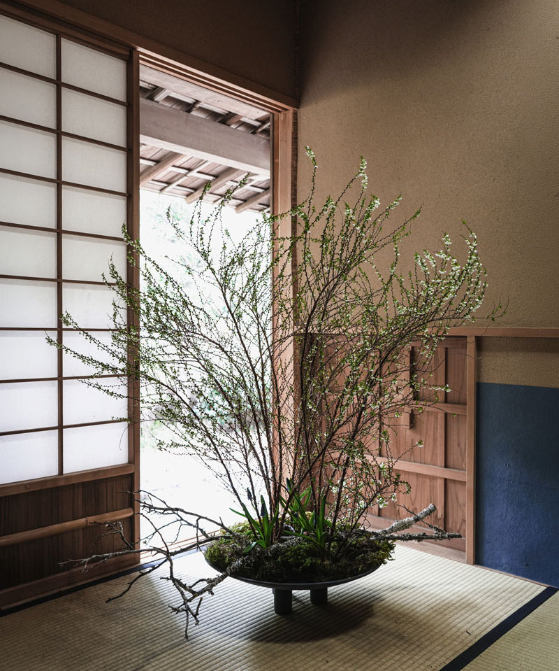 Decorative arrangement of branches by Hikaru Seino on Duck Plate on a tatami mat floor with sliding doors in the background.