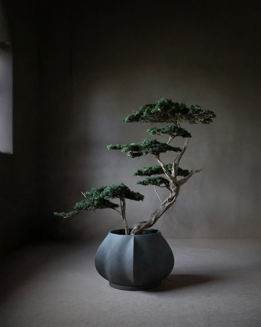 Arket Plant pot medio styled by Labotanica