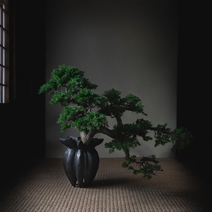 101 Copenhagen Lotus vase with Bosai tree styled by Labotanica