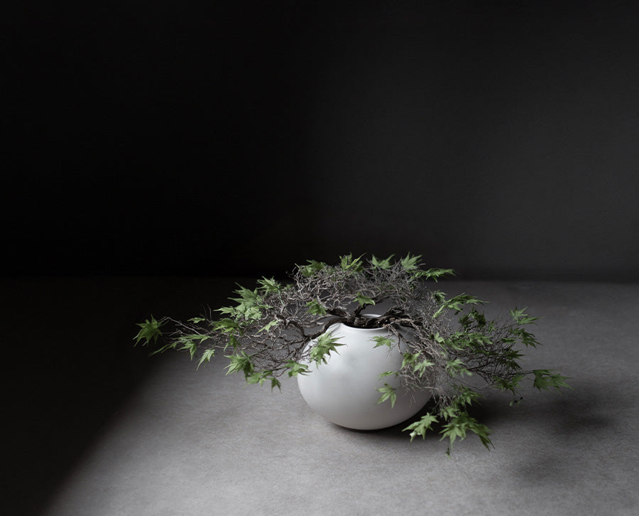 Sunao vase fat mini styled by Labotanica