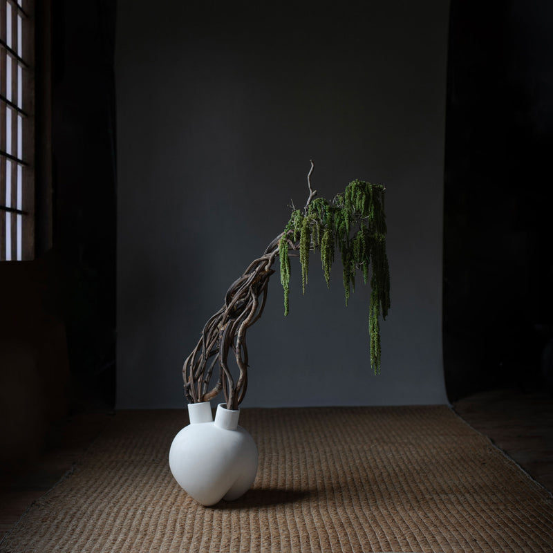 101 Copenhagen Horns Bone White collab with Labotanica