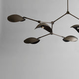 101 Copenhagen - Stingray Chandelier - Bronze - Chandelier